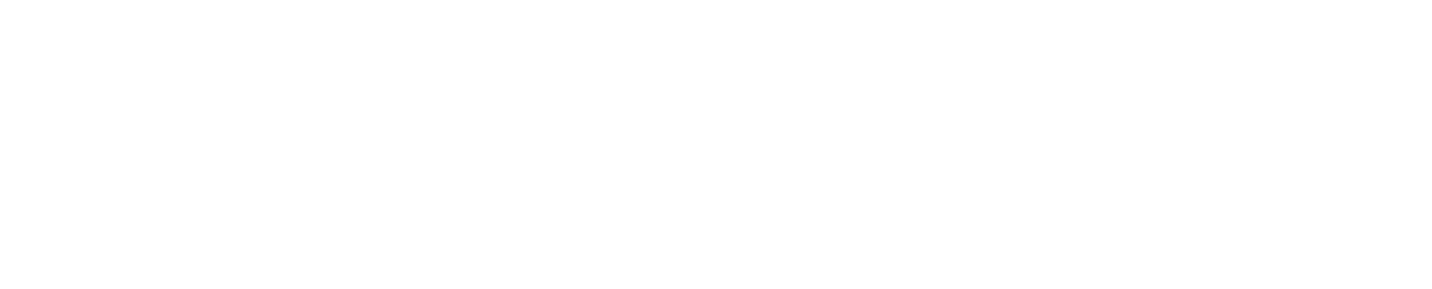 iStelligence